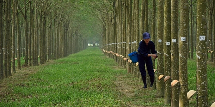 DPR: Tiến độ dự án KCN có thể chậm hơn kỳ vọng