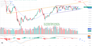 Vnindex- cập nhật nhanh tháng 02/2025