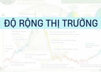 Độ rộng thị trường: Công cụ đánh giá sức mạnh thực của thị trường