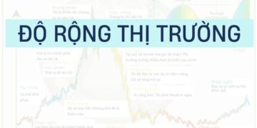 Độ rộng thị trường: Công cụ đánh giá sức mạnh thực của thị trường