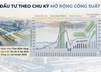 Chiến lược đầu tư theo chu kỳ mở rộng công suất: Trường hợp điển hình (HPG)